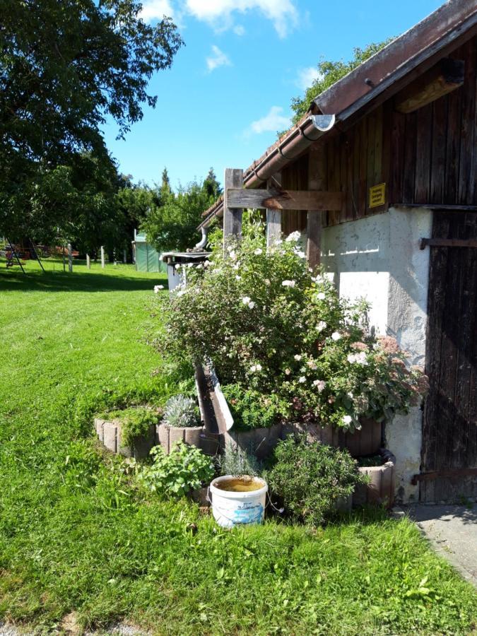 Ferienwohnung Im Seidlerhof Mit Balkon Und Garten Rohrnbach Ngoại thất bức ảnh