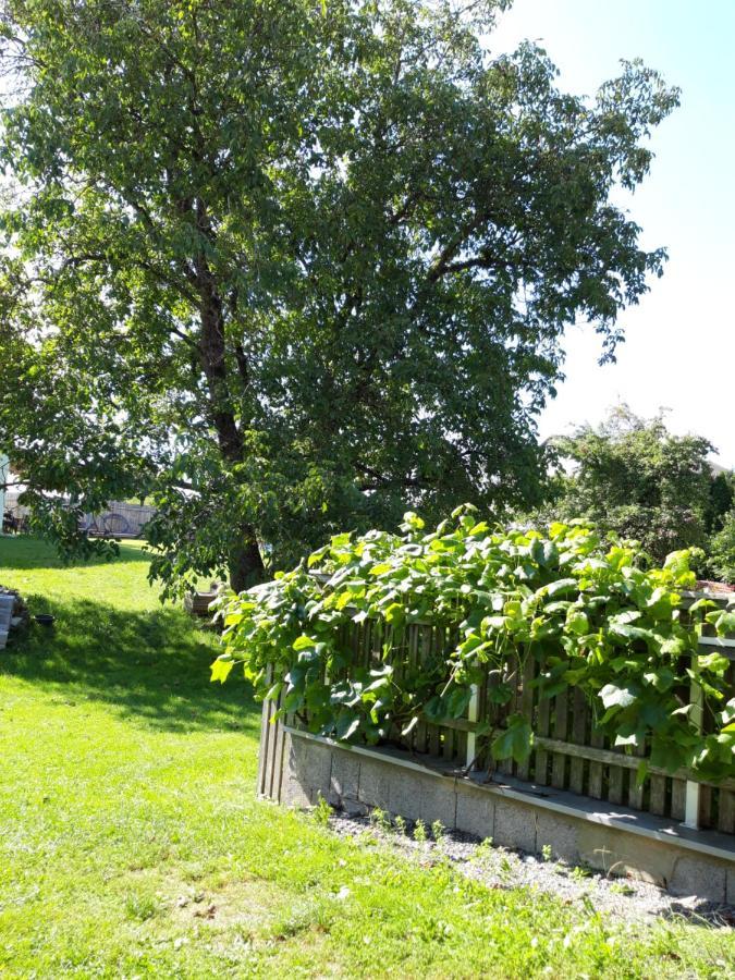 Ferienwohnung Im Seidlerhof Mit Balkon Und Garten Rohrnbach Ngoại thất bức ảnh