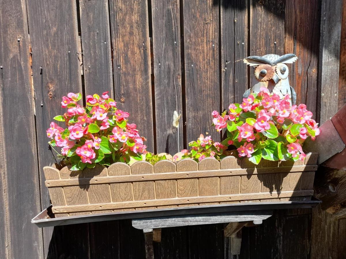 Ferienwohnung Im Seidlerhof Mit Balkon Und Garten Rohrnbach Ngoại thất bức ảnh