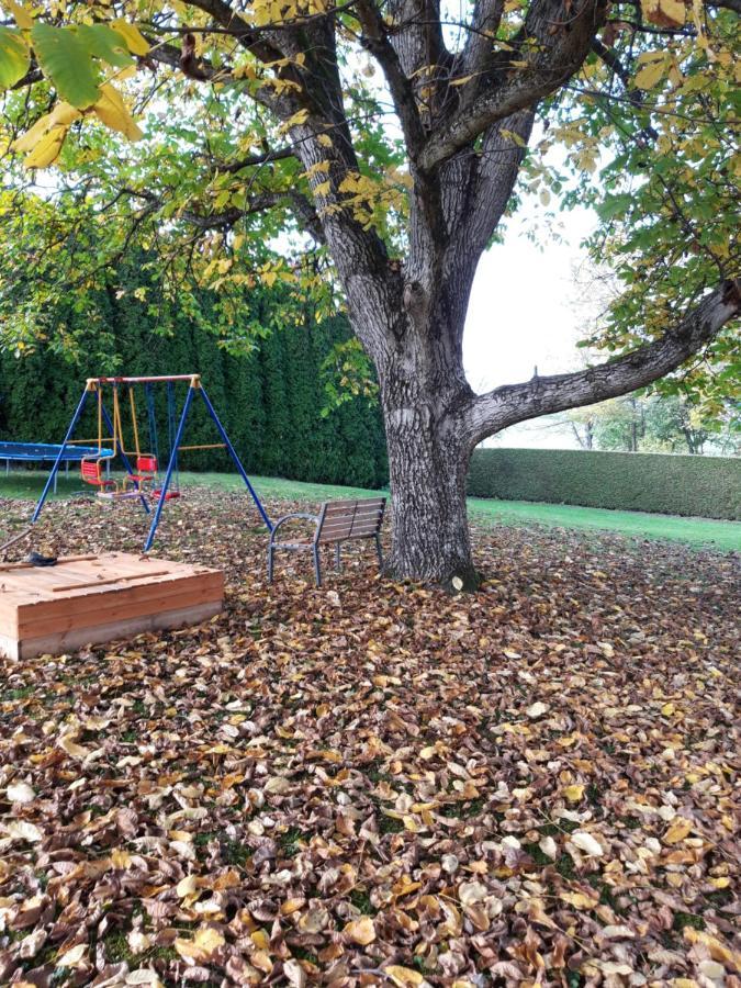 Ferienwohnung Im Seidlerhof Mit Balkon Und Garten Rohrnbach Ngoại thất bức ảnh