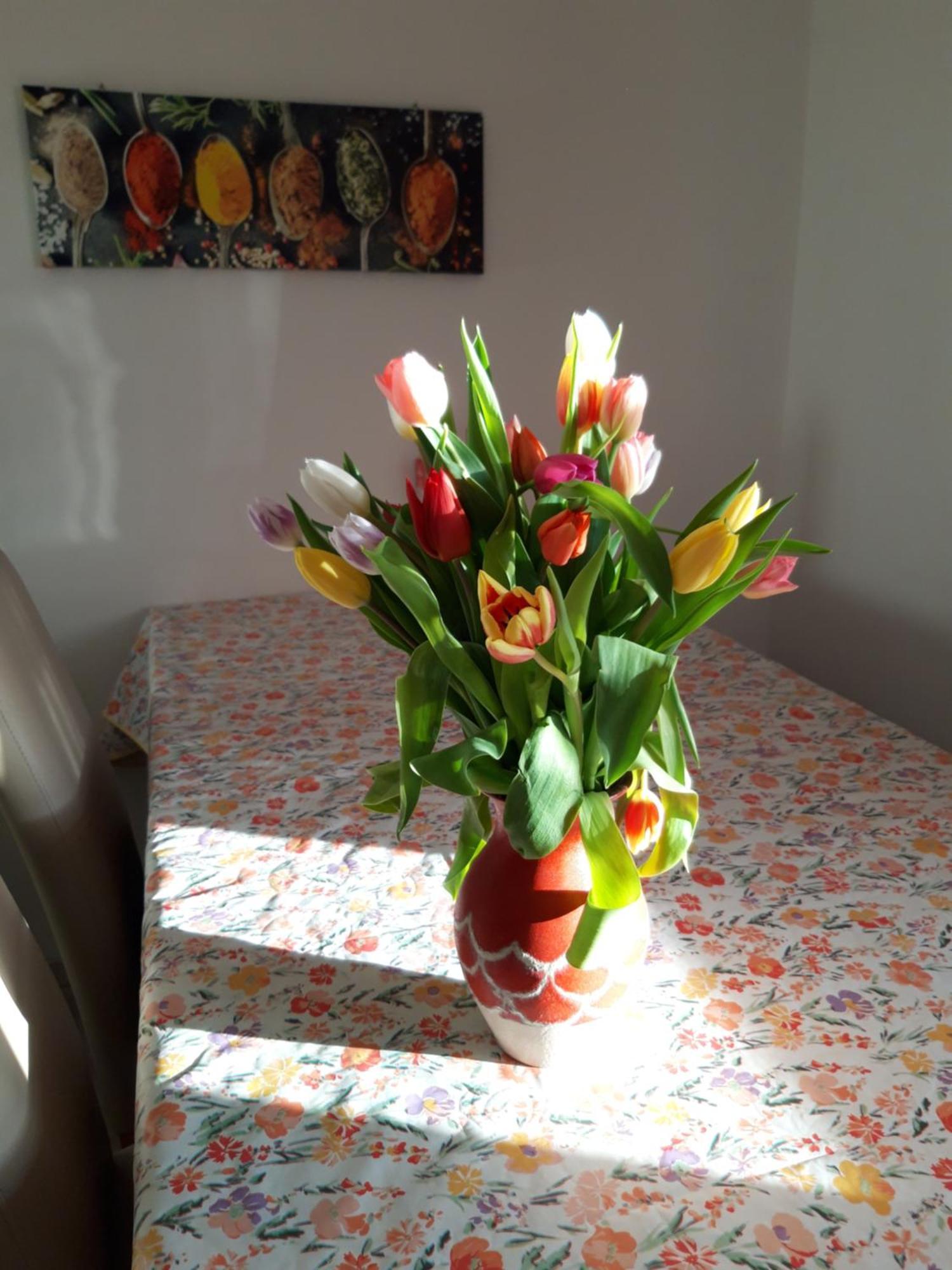 Ferienwohnung Im Seidlerhof Mit Balkon Und Garten Rohrnbach Ngoại thất bức ảnh